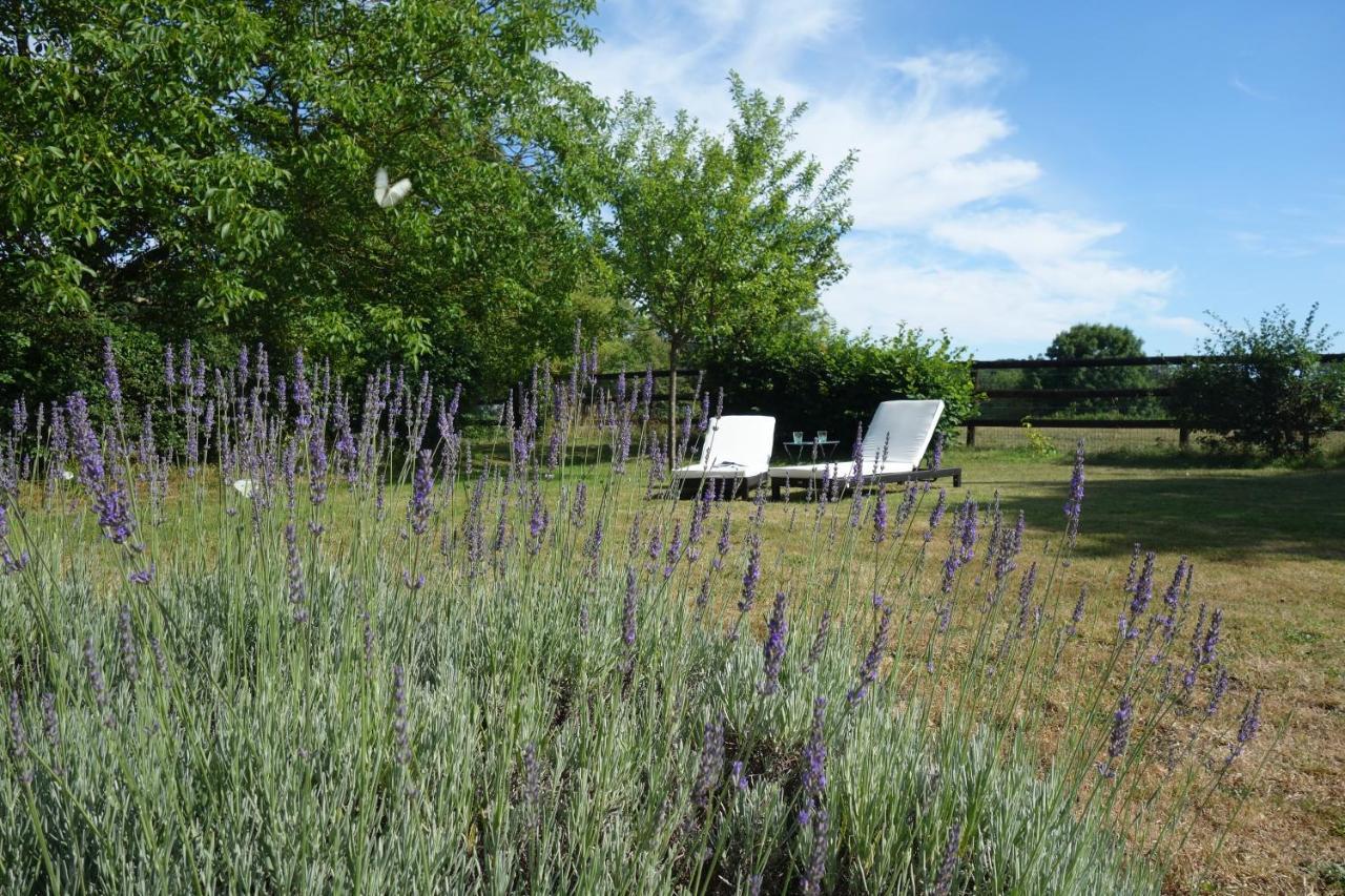 Le Cottage Du Coudray, Gite Avec Chalet Sauna La Fresnaie-Fayel Экстерьер фото